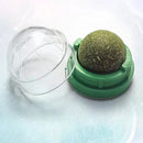 Brinquedo Natural Para Gato - Catnip