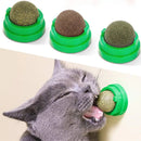 Brinquedo Natural Para Gato - Catnip
